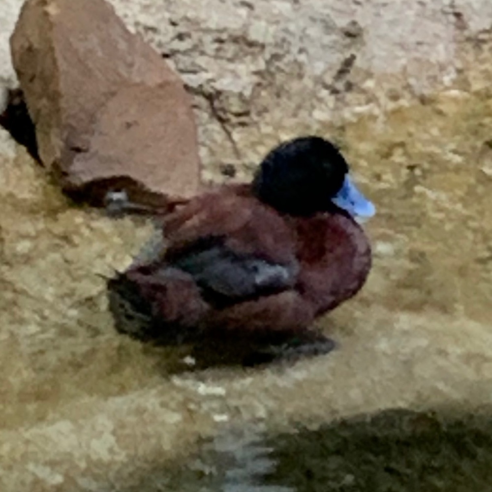 Meet your Posher, Kyla